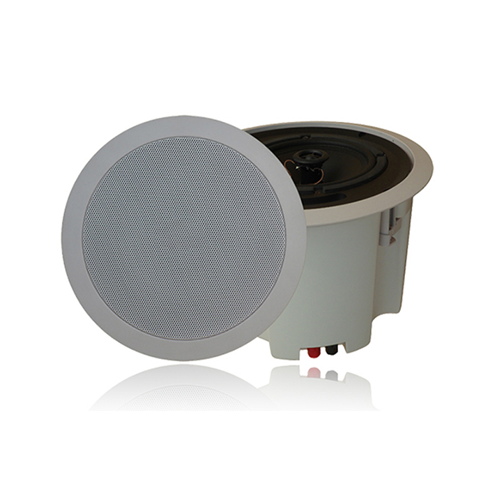 ZY315CBZ  藍(lán)牙商務(wù)吸頂音箱15W2.5寸低音，絲膜高音，帶后罩，內(nèi)置功放20W
